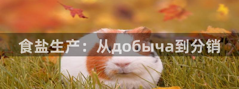 威九code6070