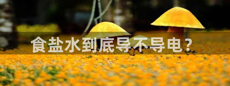 威九国际网站人入口