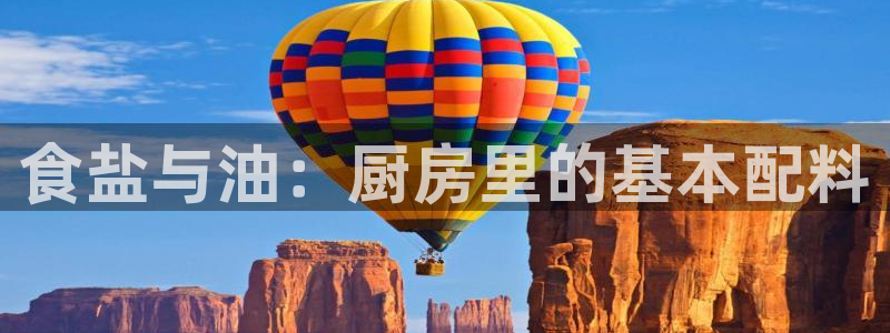 威九国际AN