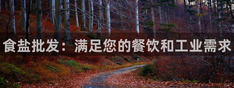威九国际78mb特点