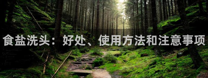 威九国际PPT
