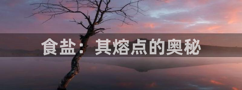 威九国际78mb游戏