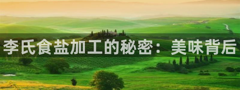 保定威九网络科技有限公司怎么样