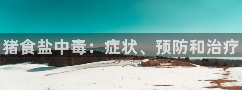威九国际第一页