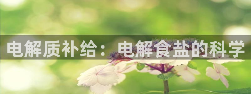 威九国际app无法登陆怎么回事