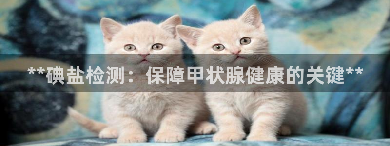 威九国际网站进入客服中心怎么退出