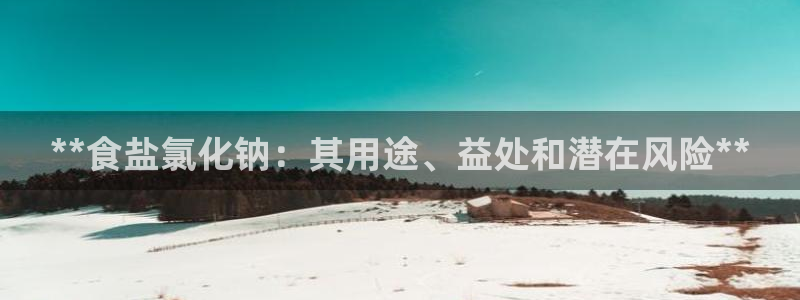 威九国际ppt官网
