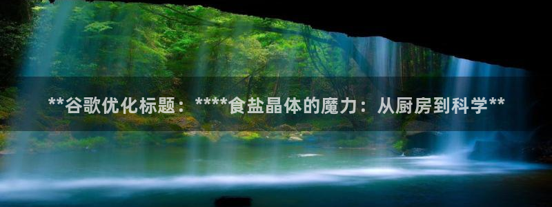 威九国际软件