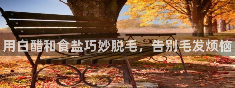 威九国际网站传媒招聘