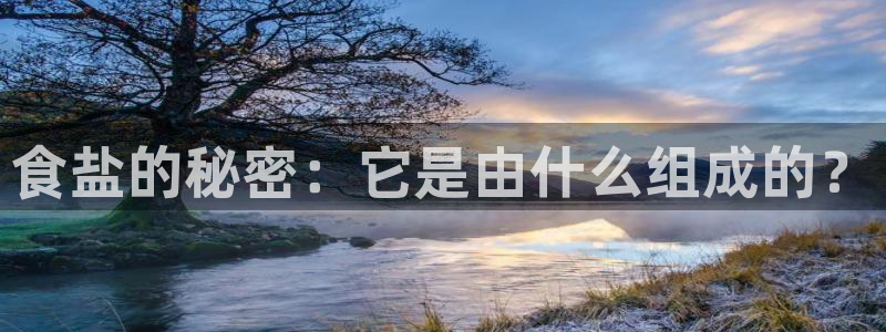 威九国际女演员名单介绍