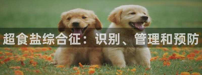 威九国际软件公司简介