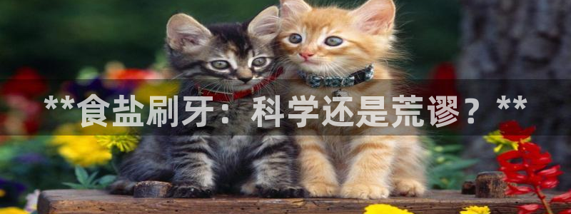 威九国际78mb玩法