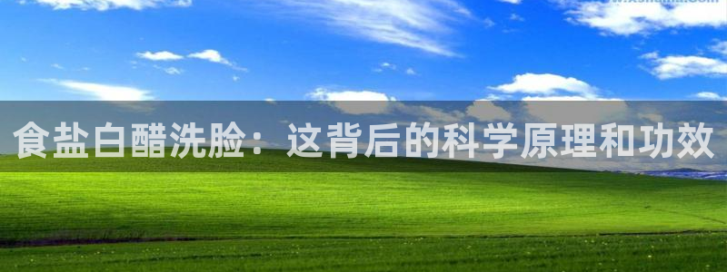 威九国际可以赚到钱