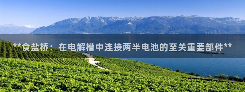 威九国际网站影视