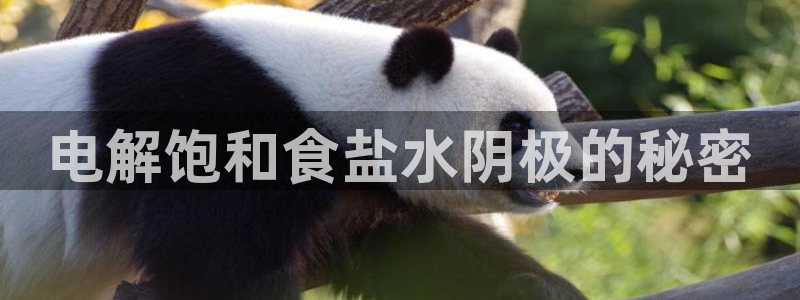 威九国际惠子