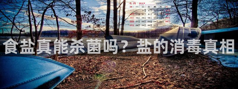 66m威九国际精选