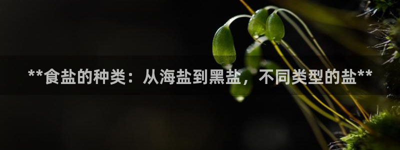 威九国际78M.APP