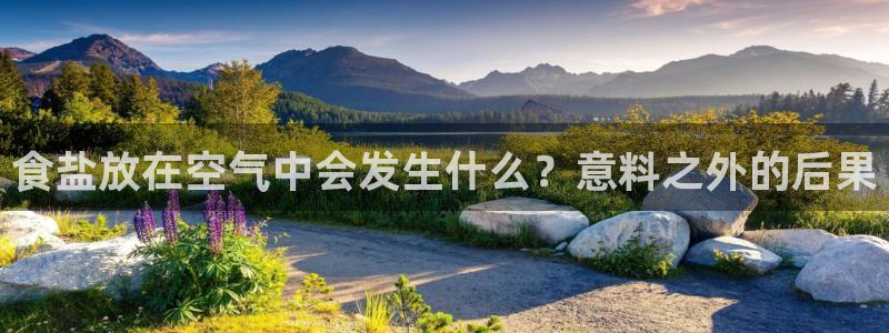 威九国际网站客服电话多少号码