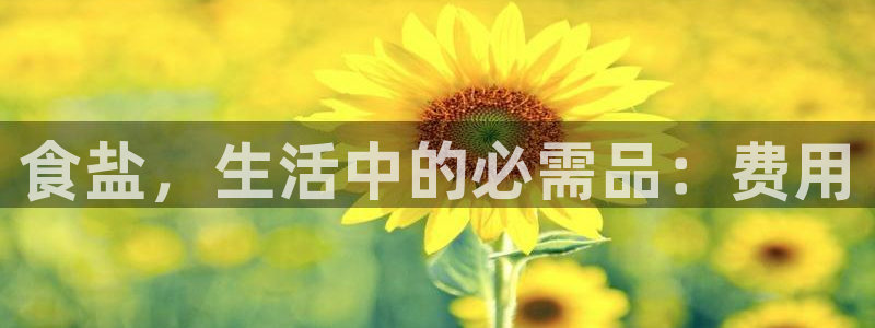 威九国际空降服务怎么样