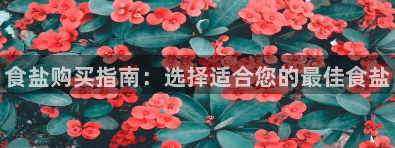 威九国际可以提现吗