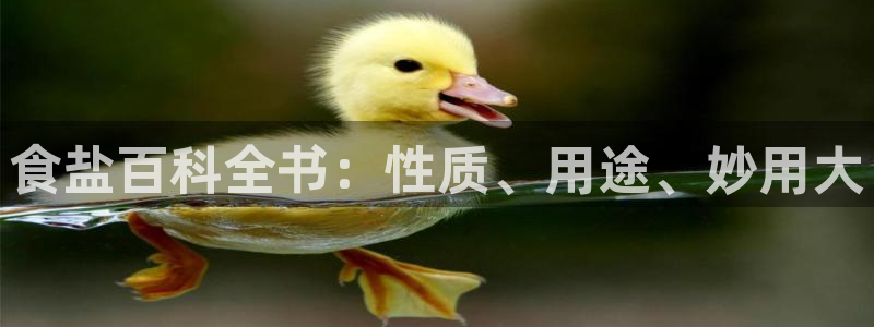 威九国际H