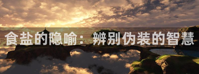 威九国际H