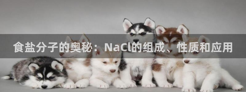威九国际合作伙伴有哪些