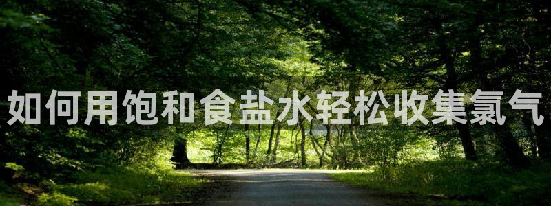 威九国际78mB官网版