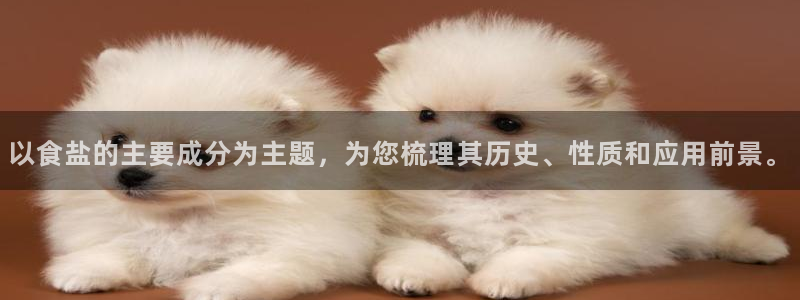 威九国际网站入口地址