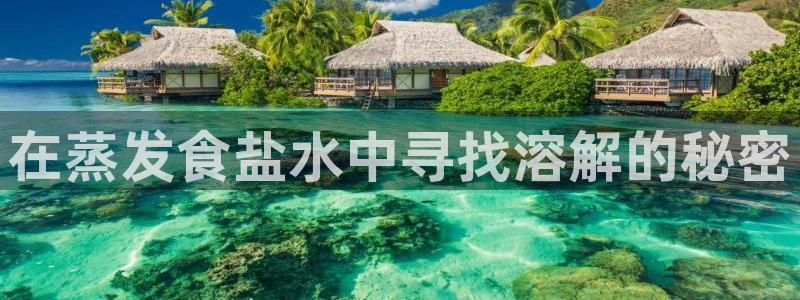 威九国际v96BET