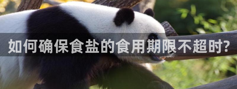 威九国际最近的视频