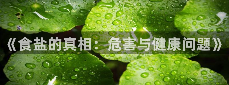 威九国际哪国的