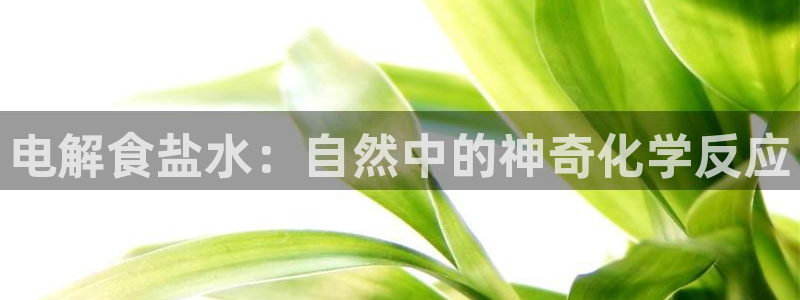 威九国际能提现吗