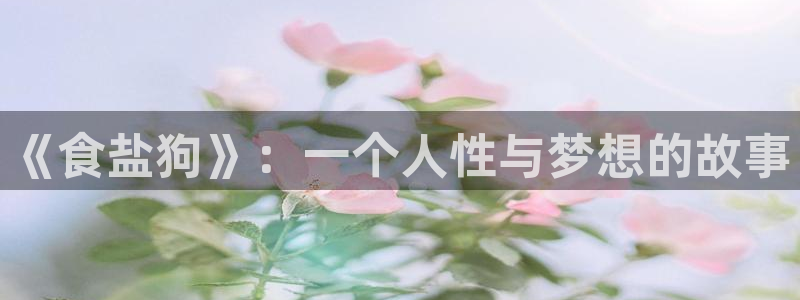 威九国际清砖码头怎么样