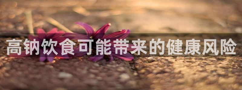 威九国际v96BET