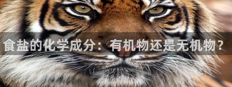 威九cp