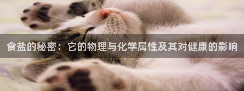 威九国际游戏网站
