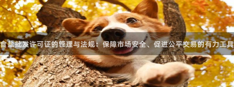 威九国际客服电话是多少