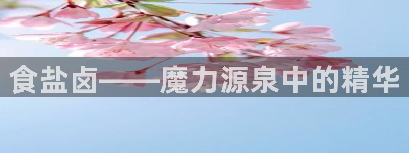 威九国际网站入口官网首页登录