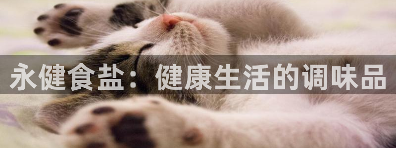 威九国际清砖码头在哪：永健食盐：健康生活的调味品