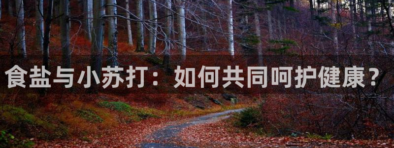 威九国际官网登录入口网址