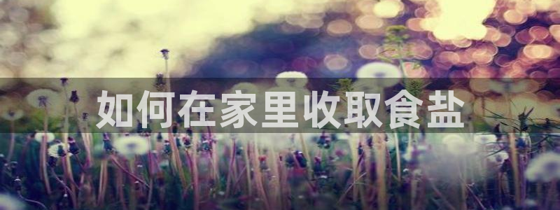 威九国际男演员