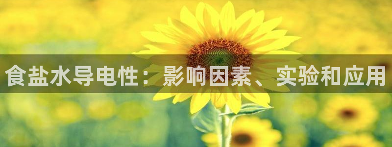 保定威九网络科技有限公司