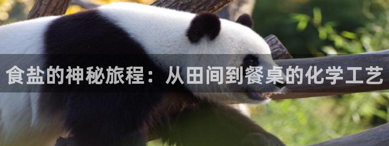 威九国际在哪里