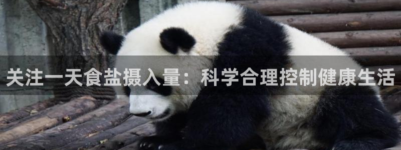 威九国际网站客服电话多少