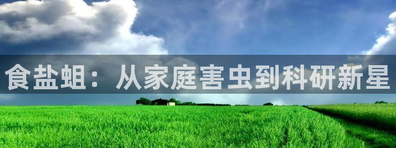 威九国际app网站官网