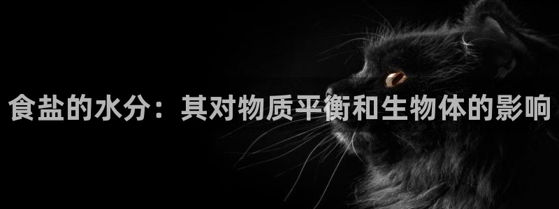 威九国际电视怎么样