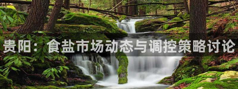 威九国际的网站入口在哪里