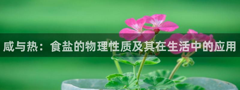 威九国际女演员名单介绍