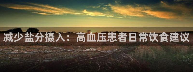 威九国际电子有限公司